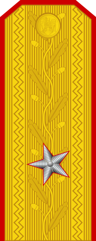 File:Romania-Army-OF-6.svg