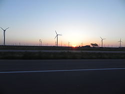 Roscoe Wind Farm ĉe Sunrise.JPG