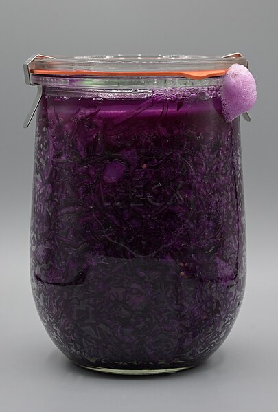 File:Rotkohl (Illingen) 2023-11-27 (01).jpg