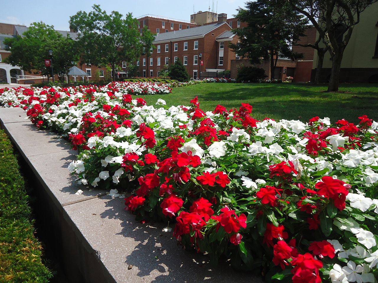 3/8 Red Stone: Rutgers Landscape & Nursery