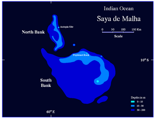 <span class="mw-page-title-main">Saya de Malha Bank</span> Submerged bank in Mauritius