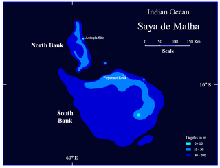 Saya de Malha Bank Submerged bank in Mauritius