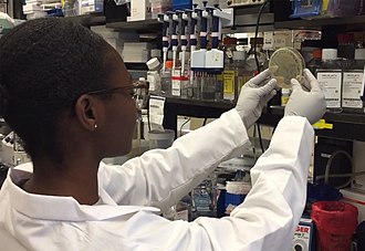 NIAID (NIH) scientist researching COVID-19 vaccine examines agar plate. (30 January 2020) Scientist examines COVID-19 vaccine agar plate.jpg