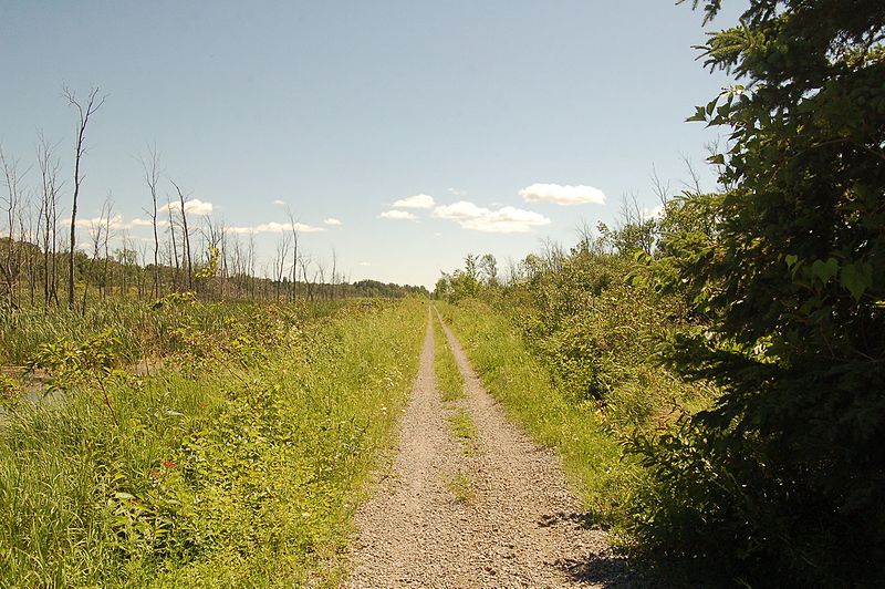 File:Scugog, ON, Canada - panoramio (1).jpg