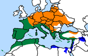 Koldvindi levila: oranž - suvel, sinine - talvel; roheline - aastaringselt