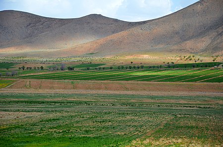 Shahrekord - Chaleshtor - panoramio.jpg