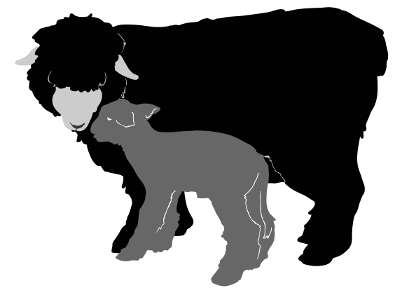 Download File Sheep Silhouette 02 Svg Wikipedia