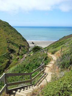 Pinnacle and Shorttail Gulch Coastal Access Trails hiking trails in California