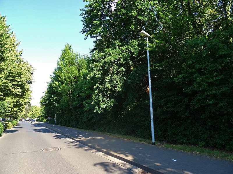File:Siegfried Rädel Straße Pirna (28872339318).jpg