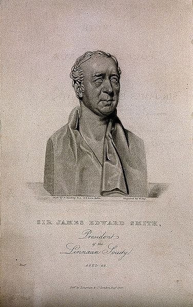 File:Sir James Edward Smith. Mezzotint by W. Say, 1832, after H. Wellcome V0005495.jpg