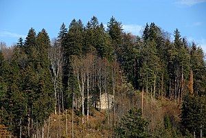 Sonnegg castle ruins