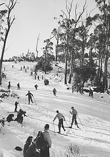 Mt Donna Buang was developed for snow play - 1947 Skiing downhill, Mount Donna Buang Reserve, Victoria, 1947 (9287596887).jpg
