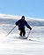 WikiProject Ski