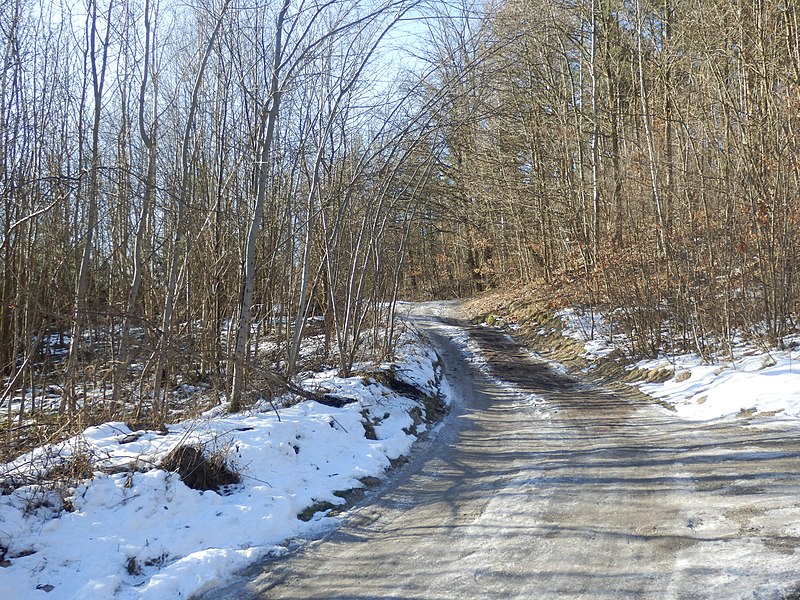 File:Sokola street beginning, Skarżysko-Kamienna.JPG