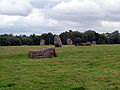 Somerset sd stone circle 06.jpg