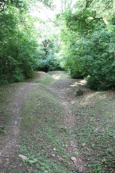 File:Souville fort 1896 trenches 1916 IMG 8164 Forêt Domaniale de Verdun.JPG