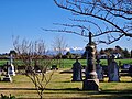 St Joseph's Church Cemetery view of Mt Hutt. July 2021