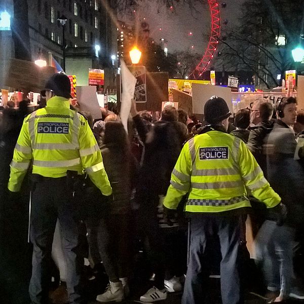 File:StandUpToTrump - 03 (32235839420).jpg