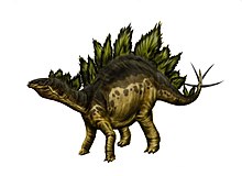 Stegosaurus Stegosaurus armatus by durbed.jpg