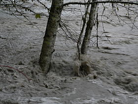 Stillaguamish River in flood