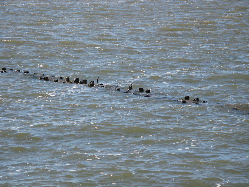 File:Stinteck buhne unterwasser.jpg