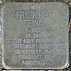 Stumbling Stone Friederike Seewald (August-Storch-Strasse 8 Butzbach) .jpg