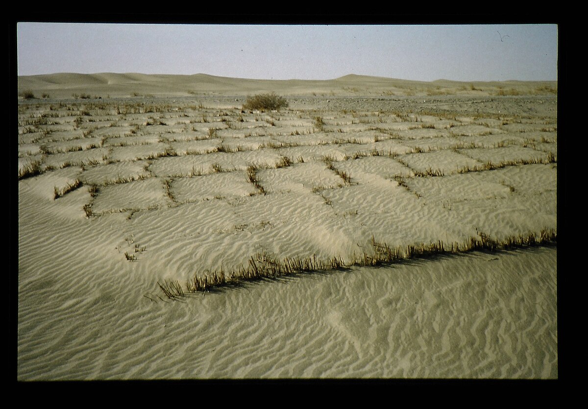 File Straw Mat Network At The South Of Taklimakan Desert 砂漠化防止のための草方格 且末 チェンモ a2c O Jpg Wikimedia Commons