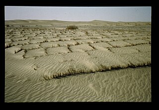 File Straw Mat Network At The South Of Taklimakan Desert 砂漠化防止のための草方格 且末 チェンモ a2c O Jpg Wikimedia Commons