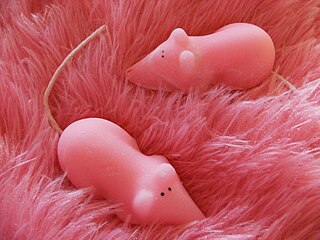 <span class="mw-page-title-main">Sugar mice</span> Traditional sugar candy popular in the United Kingdom