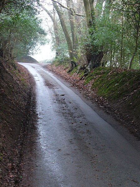 File:Sunken Anstie Lane - geograph.org.uk - 2278946.jpg