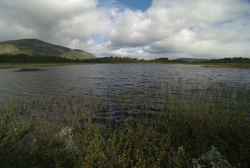 File:Tärnasjön south, Vindelfjällen.jpg