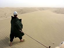 Desert life near Yarkand