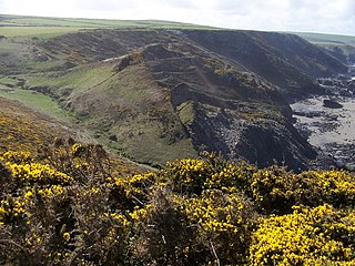 Tregardock and Treligga human settlement in the United Kingdom