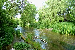 The River Cray running through Foots Cray Meadows