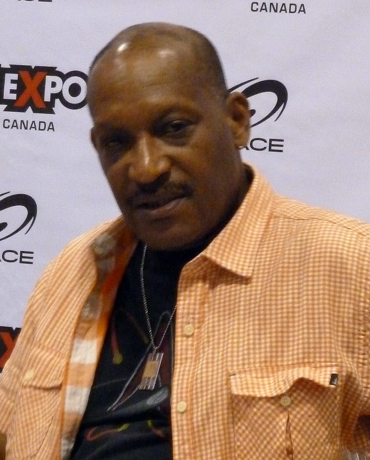 Tony Todd (I) (4 de Dezembro de 1954), Artista