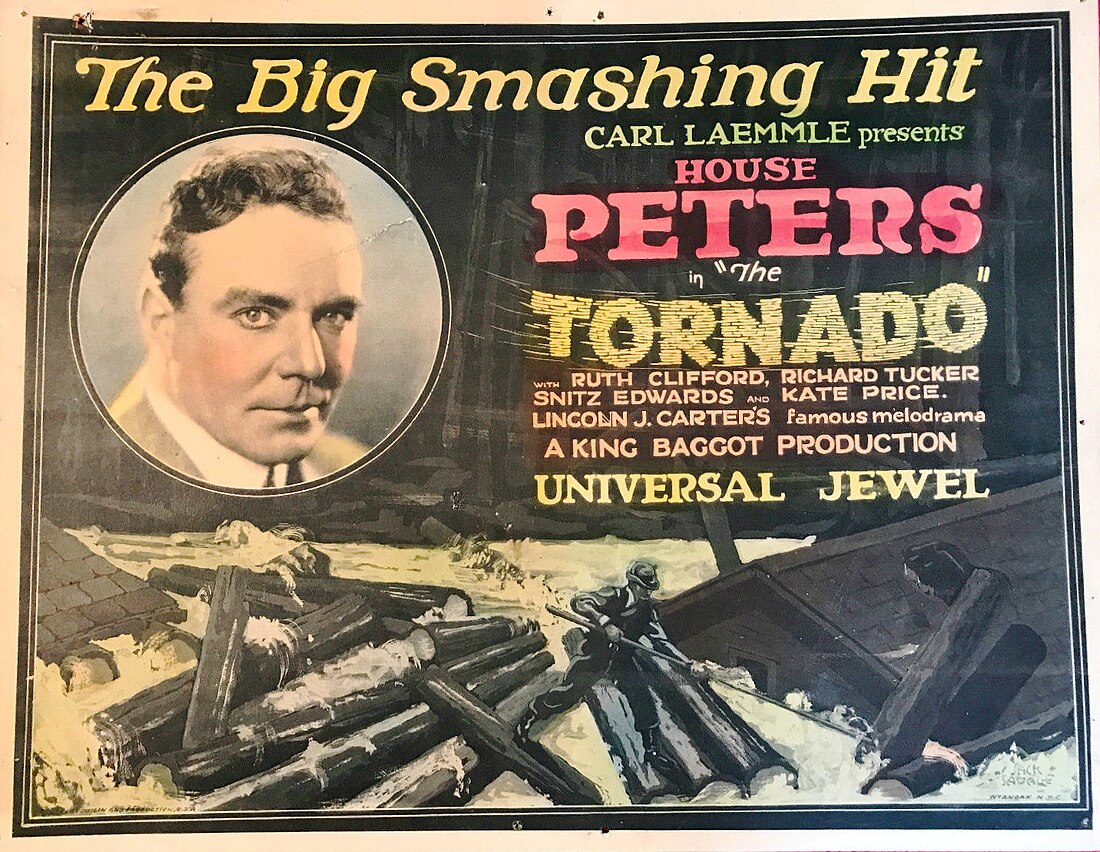 The Tornado (1924 film)