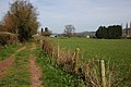 Track to the south of Peterchurch - geograph.org.uk - 390649.jpg
