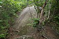 大滝根山登山道