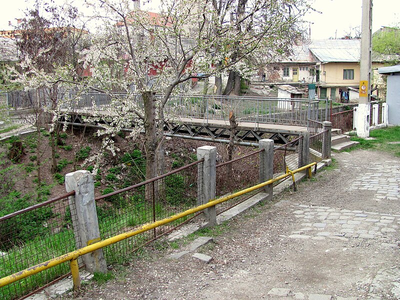 File:Turda,Valea Racilor,zona str.A.Bunea.jpg