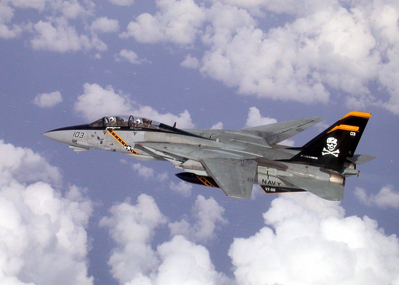 File:US Navy 021014-N-1955P-004 F-14 Tomcat assigned to VF-103 conducts mission over the Mediterranean Sea.jpg