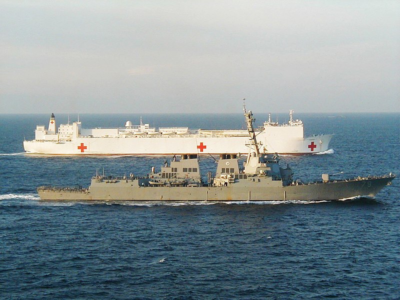 File:US Navy 030119-N-0000X-001 The guided missile destroyer USS Oscar Austin (DDG 79) escorts Military Sealift Command hospital ship USNS Comfort (T-AH 19).jpg