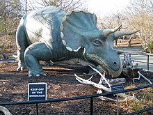 a Triceratops statue on outdoor display