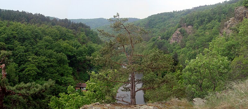 File:Výhled do údolí Jihlavy z levé strany břehu.jpg