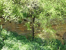 Valley Farm Pit, Sudbourne 6.jpg