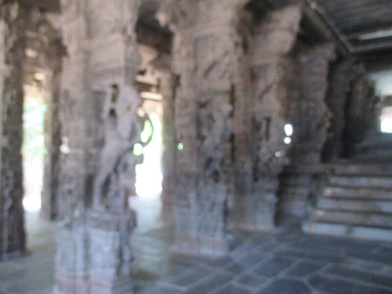 File:Varadaraja Perumal Temple Kanchipuram (19).jpg