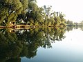 "Old Laborec" fish pond next to the village