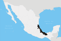 موقعیت وراکروز در مکزیک