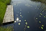 Miniatuur voor Stoep (water)