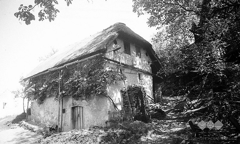 File:Vrhhlevna Nušičeva kajža, Velike Lipljene 1948.jpg