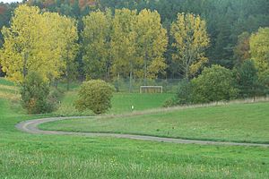 At the sports field of Vitzeroda in the Allmannsloch, behind it the Schälrück rises